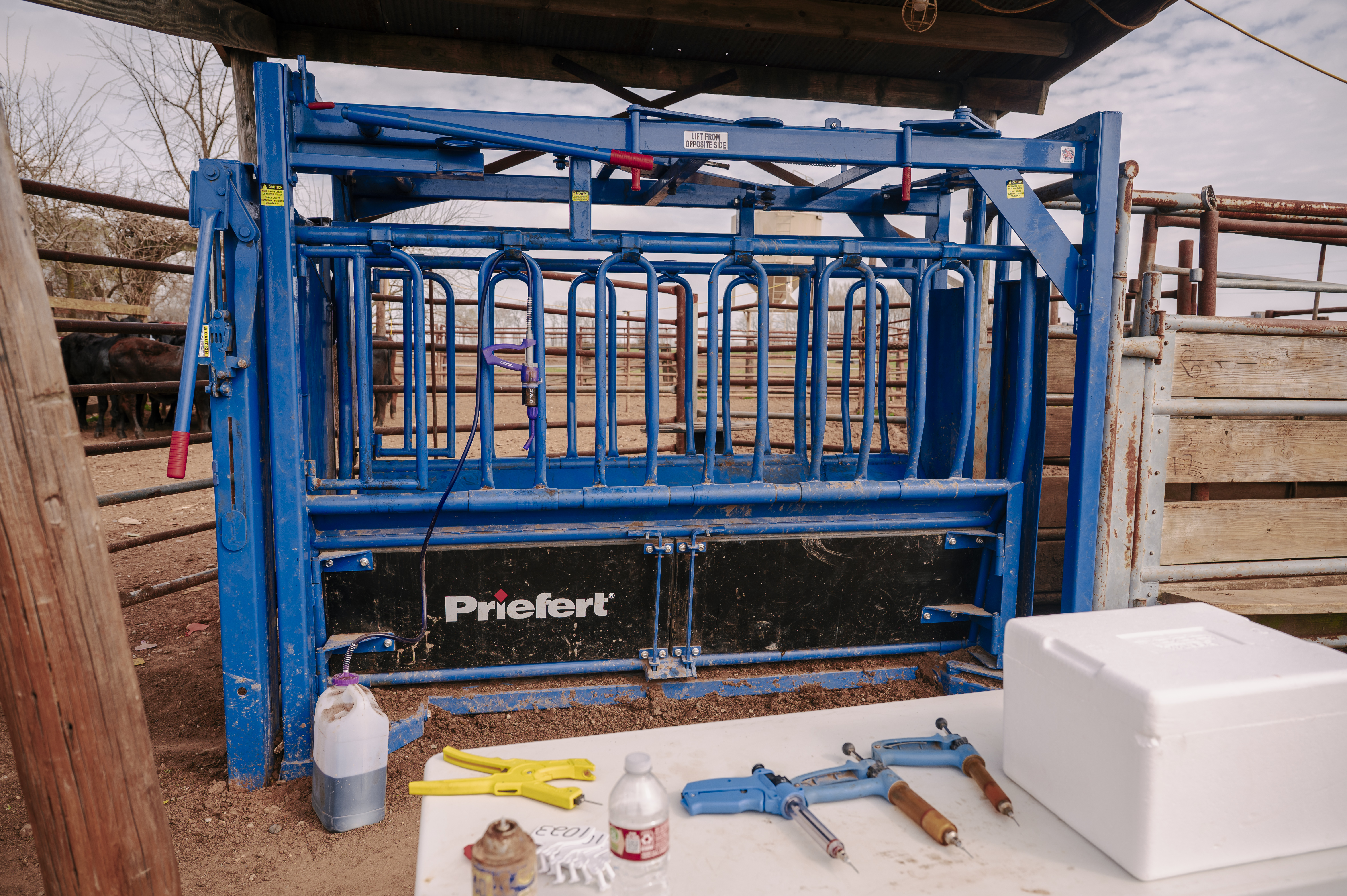 SqueezeChute SC25 0326 Boyce 1263.jpg